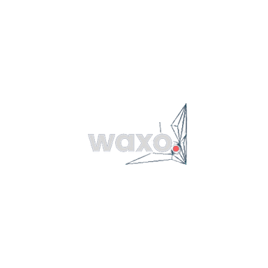 Waxo Logo